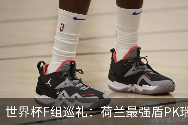 世界杯F组巡礼：荷兰最强盾PK瑞典犀利刀 日本短板明显